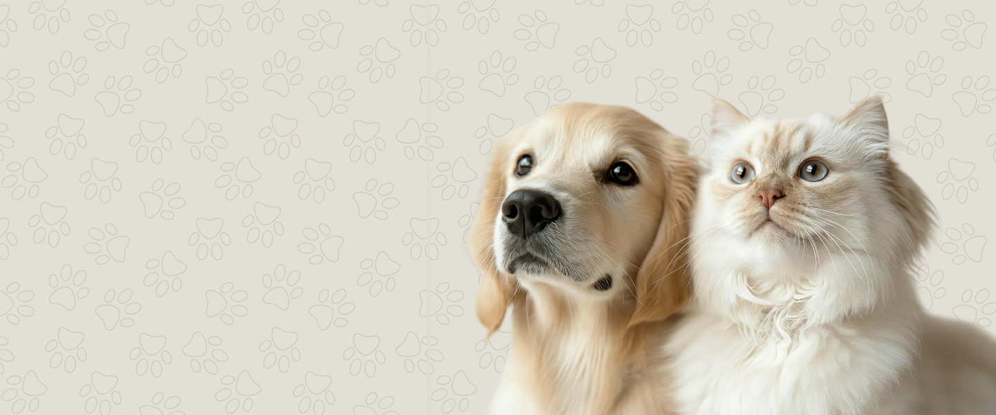 slider image slider_item_fV4kAp